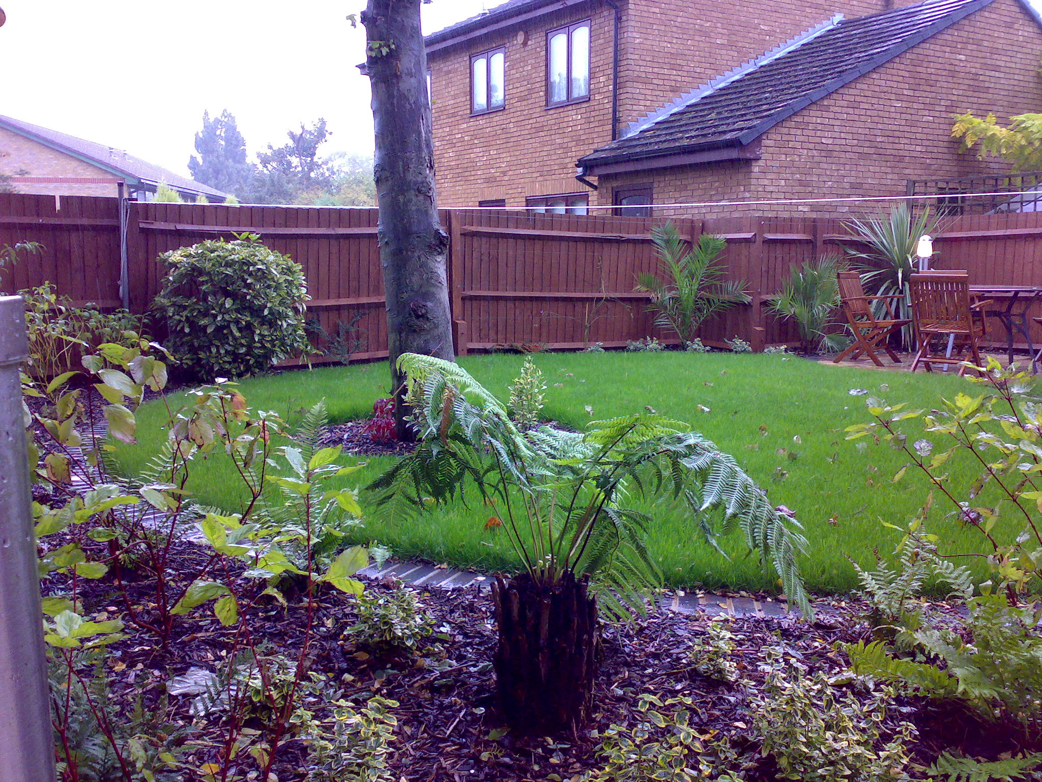 View into the garden looking at the planting and circular lawn with a tree fern and shrubs in the foreground